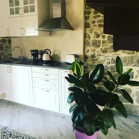 Tatil Evi Iris